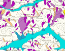 Landslide inventory map